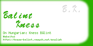 balint kness business card